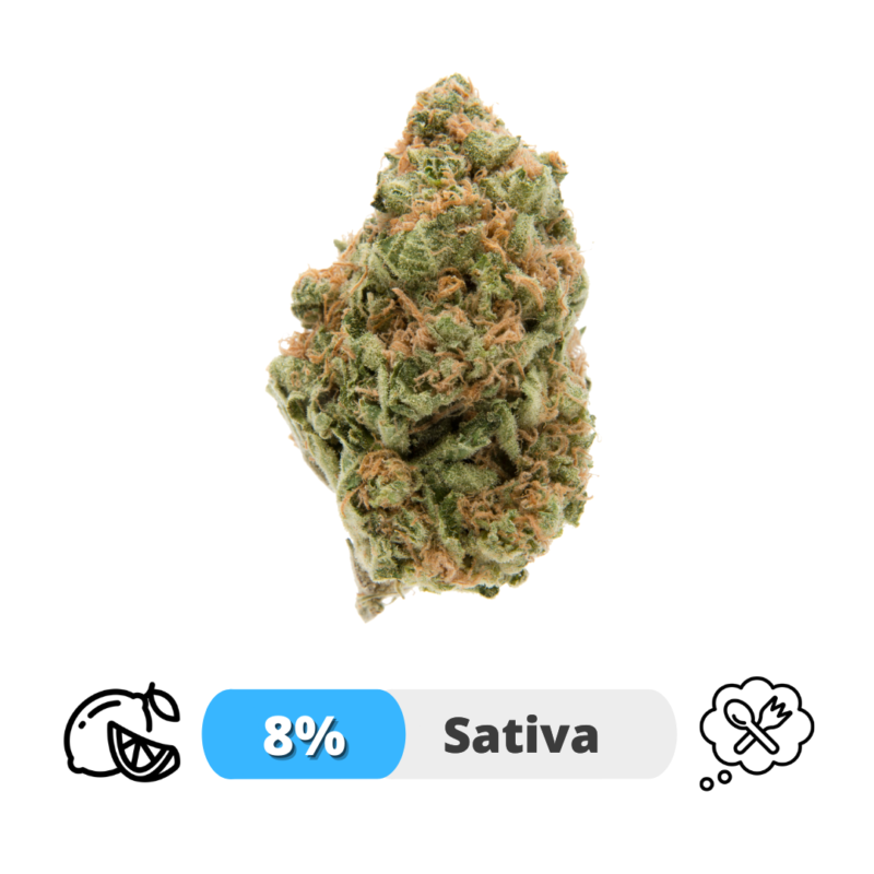 Jack Kush