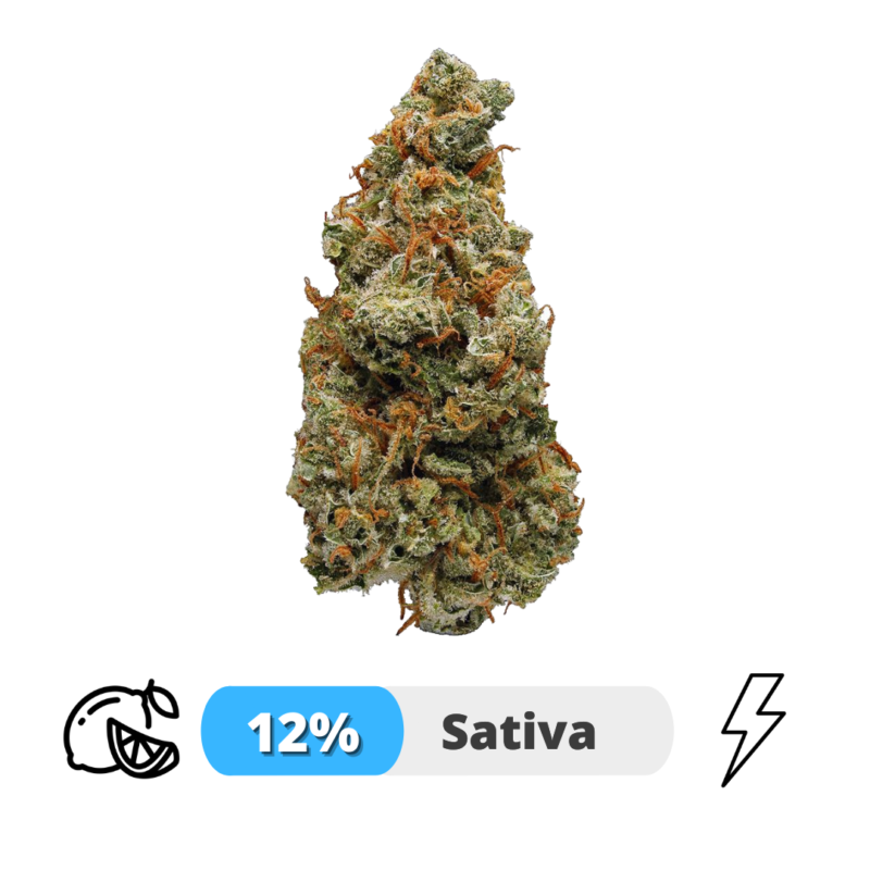 Lemon Haze