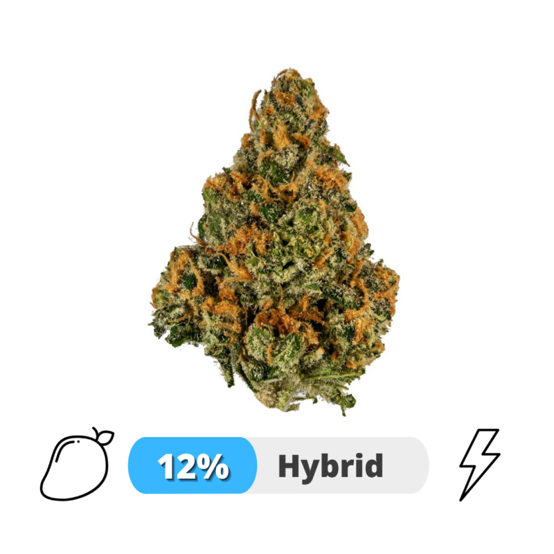 Mango Kush