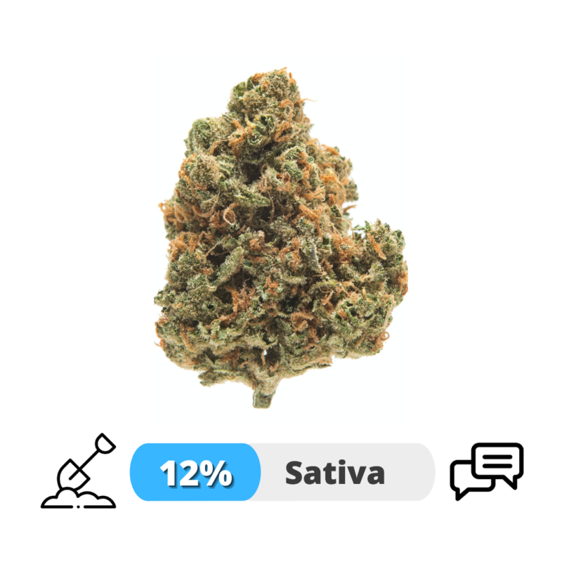 Silver Haze